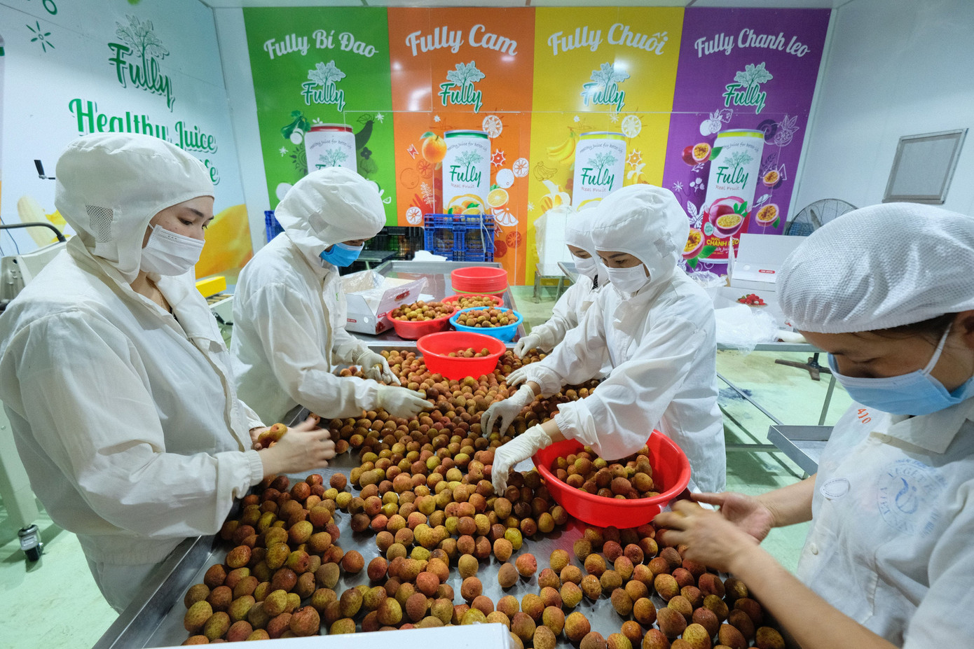 Các doanh nghiệp nhận được hàng loạt đơn hàng xuất khẩu đi các nước.