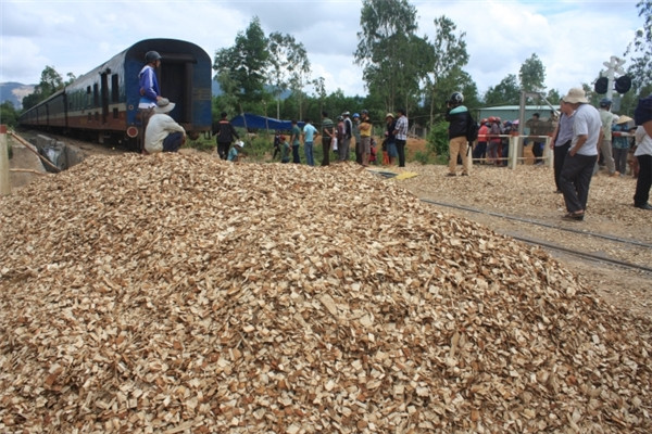 Doanh nghiệp dăm gỗ cho biết, việc chậm hoàn thuế VAT đang ảnh hưởng rất lớn đến dòng tiền hoạt động của doanh nghiệp Doanh nghiệp dăm gỗ cho biết, việc chậm hoàn thuế VAT đang ảnh hưởng rất lớn đến dòng tiền hoạt động của doanh nghiệp