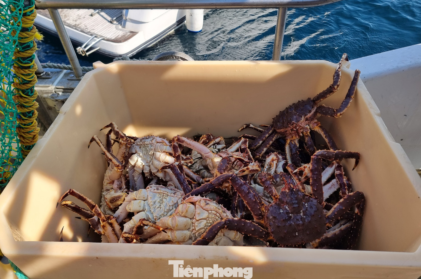 Mẻ cua vượt ngoài mong đợi của Bjørn Ronald Johannessen.