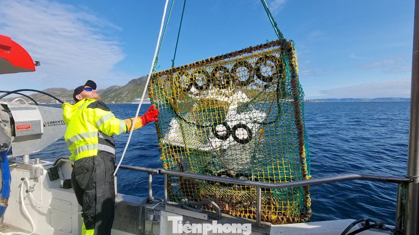 Chiếc bẫy phải lắp thêm dây thừng.