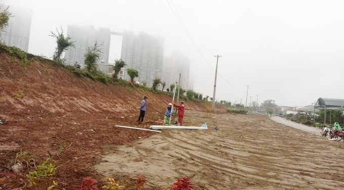 Người dân phản ánh chủ đầu tư chặt phá tre chắn sóng, đào xén thân đê Xuân Quan - Ảnh: Huy Bình. Người dân phản ánh chủ đầu tư chặt phá tre chắn sóng, đào xén thân đê Xuân Quan - Ảnh: Huy Bình.