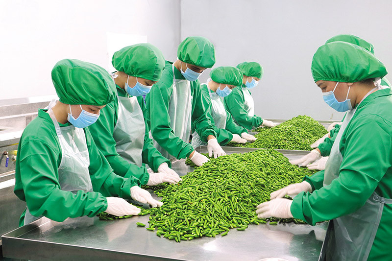 Công nhân DH Foods bắt tay ngay vào làm việc ngay từ đầu năm mới để chuẩn bị kịp đơn hàng Công nhân DH Foods bắt tay ngay vào làm việc ngay từ đầu năm mới để chuẩn bị kịp đơn hàng