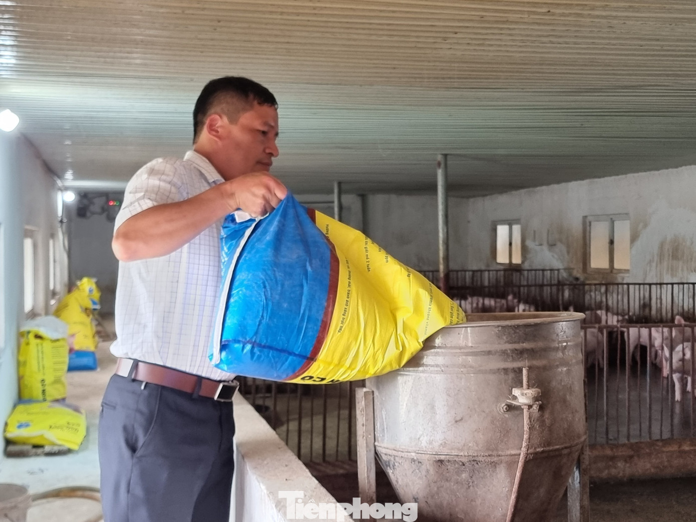 Ông Lê Minh Hiền cho biết, giá cám tăng cao khiến người chăn nuôi đang kiệt sức, lỗ nặng. Ông Lê Minh Hiền cho biết, giá cám tăng cao khiến người chăn nuôi đang kiệt sức, lỗ nặng.