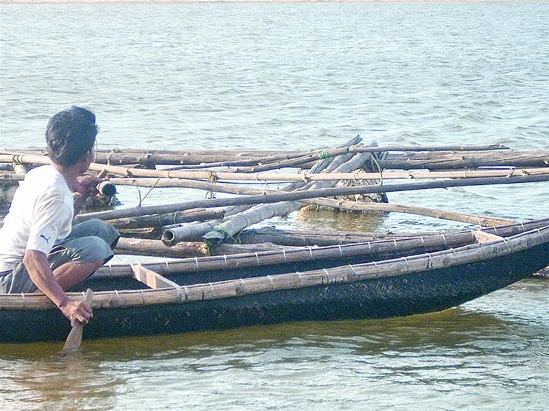 Lồng nuôi trai bị gỡ về làm củi