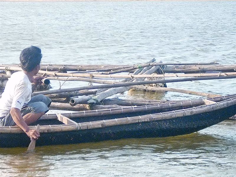 Lồng nuôi trai bị gỡ về làm củi