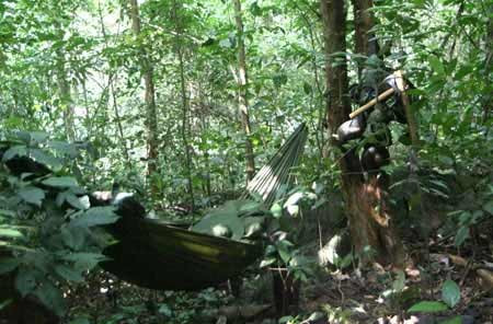 Hạ trại ngủ giữa rừng sâu