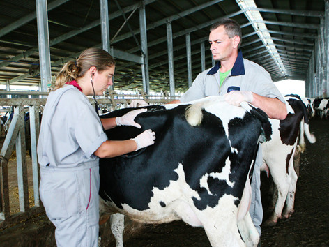 Một trong những hoạt động thú vị tại gian hàng Sữa Chọn của FrieslandCampina Việt Nam. Một trong những hoạt động thú vị tại gian hàng Sữa Chọn của FrieslandCampina Việt Nam