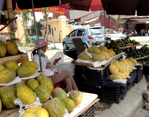 ... dưa vàng. Đây cũng là hàng Trung Quốc. ... dưa vàng. Đây cũng là hàng Trung Quốc