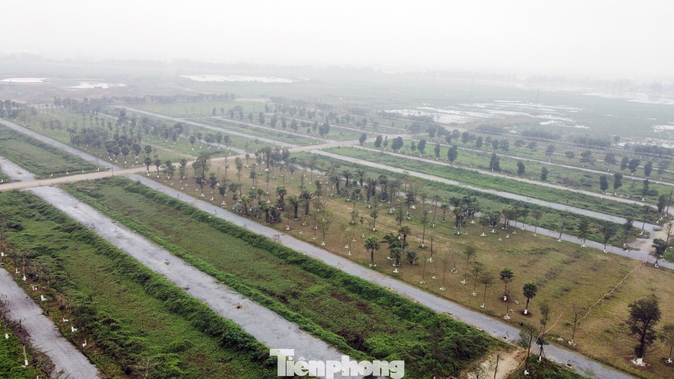 Bên trong khu đất dự án đang được chủ đầu tư trồng cây xanh.