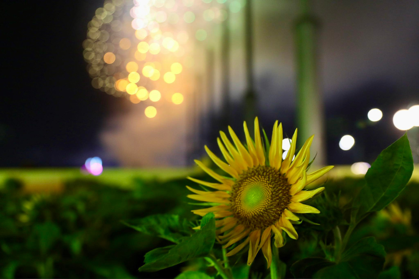 Ảnh: Duy Anh Ảnh: Duy Anh