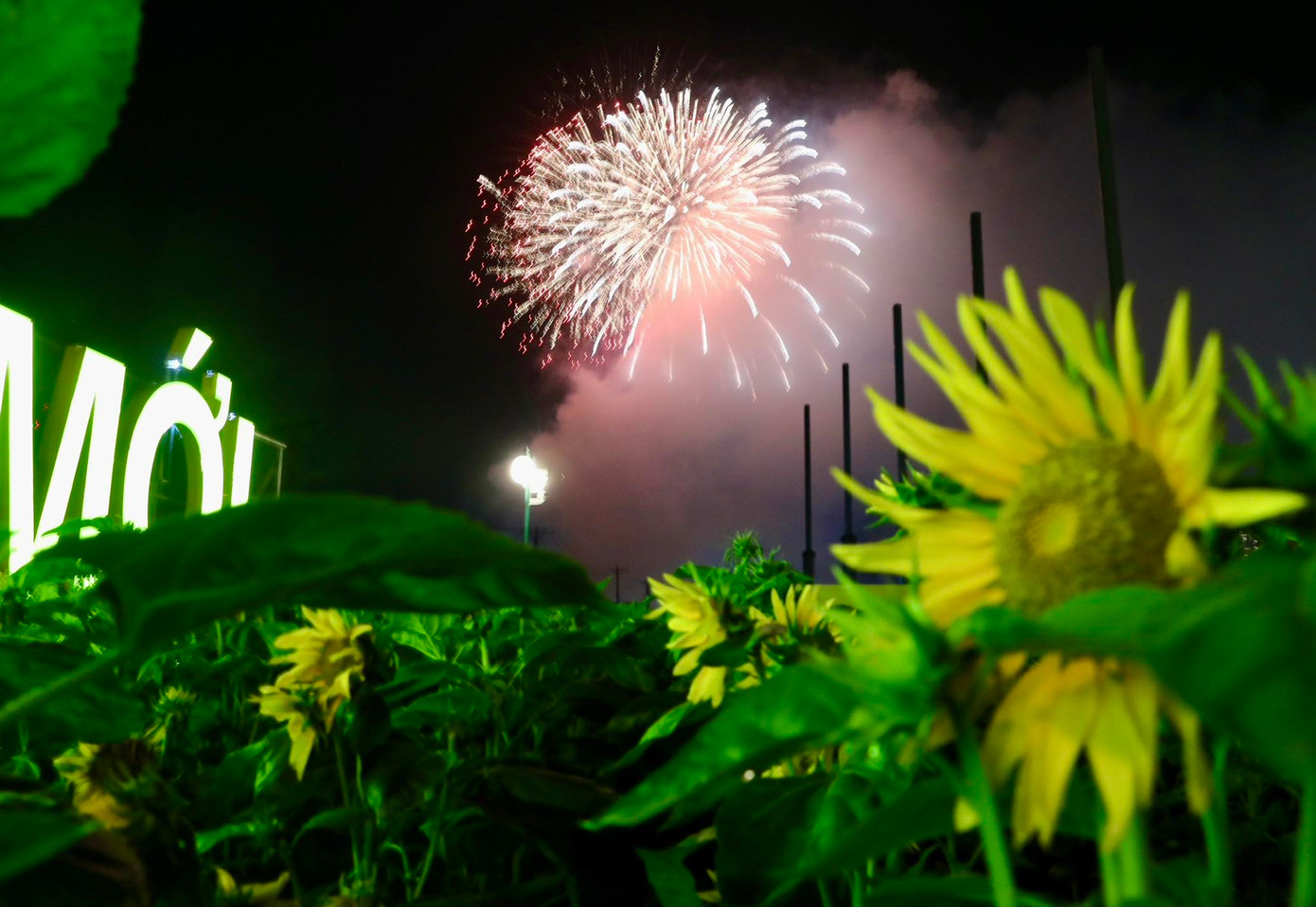 Ảnh: Duy Anh Ảnh: Duy Anh