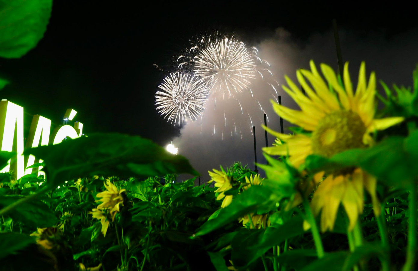 Ảnh: Duy Anh Ảnh: Duy Anh