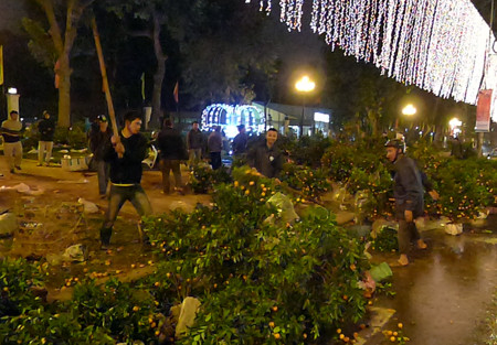 Vỉa hè tràn ngập quất