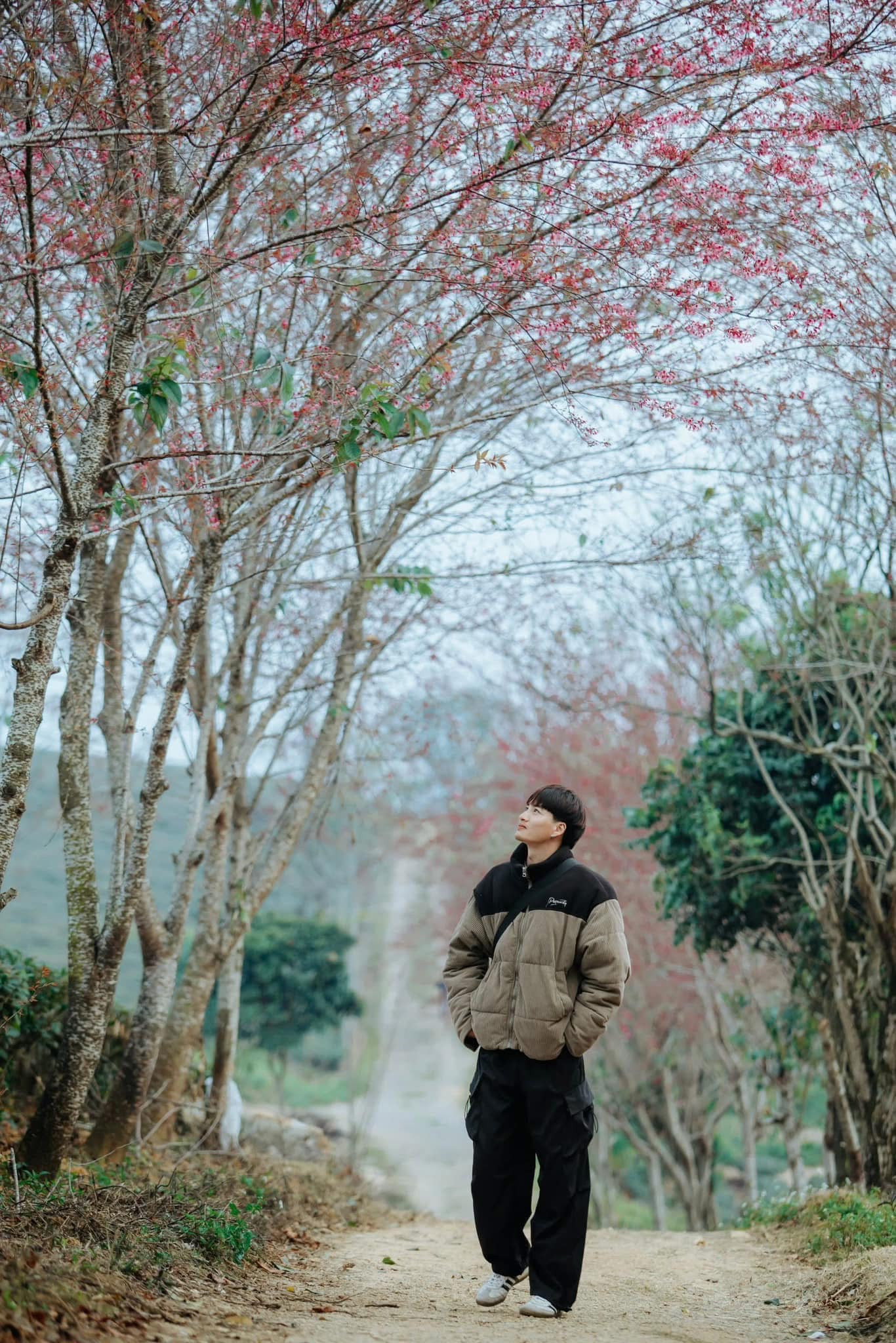 Không chỉ đẹp lãng mạn, hoa mai anh đào còn mang ý nghĩa sâu sắc, biểu trưng cho sự sống mãnh liệt, khởi đầu mới và niềm hy vọng. Ảnh: Lê Nguyên Không chỉ đẹp lãng mạn, hoa mai anh đào còn mang ý nghĩa sâu sắc, biểu trưng cho sự sống mãnh liệt, khởi đầu mới và niềm hy vọng. Ảnh: Lê Nguyên