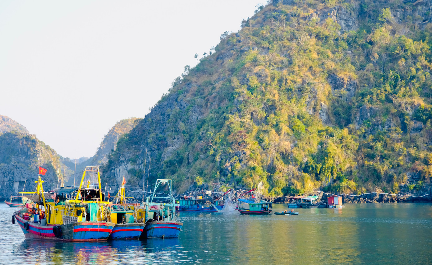 Những ngư dân trên đảo Cát Bà kiên cường bám biển xuyên Tết. Ảnh: Châu Linh