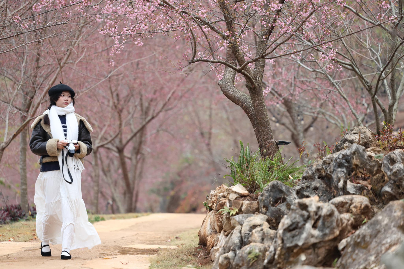 Khung cảnh nên thơ, lãng mạn ở Nu Máu Farm Mộc Châu. Ảnh: Trần Đức Duy Khung cảnh nên thơ, lãng mạn ở Nu Máu Farm Mộc Châu. Ảnh: Trần Đức Duy