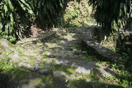 Đại gia lên sao Hỏa xây mồ ảnh 3