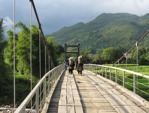 Kỹ năng sống sót khi bị lạc trong rừng ảnh 2