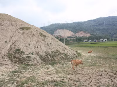 Ruộng đồng bỏ hoang, đất đai bị cày xới 