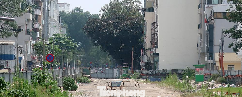 Cỏ mọc xanh tốt trên công trường thi công ga S10.