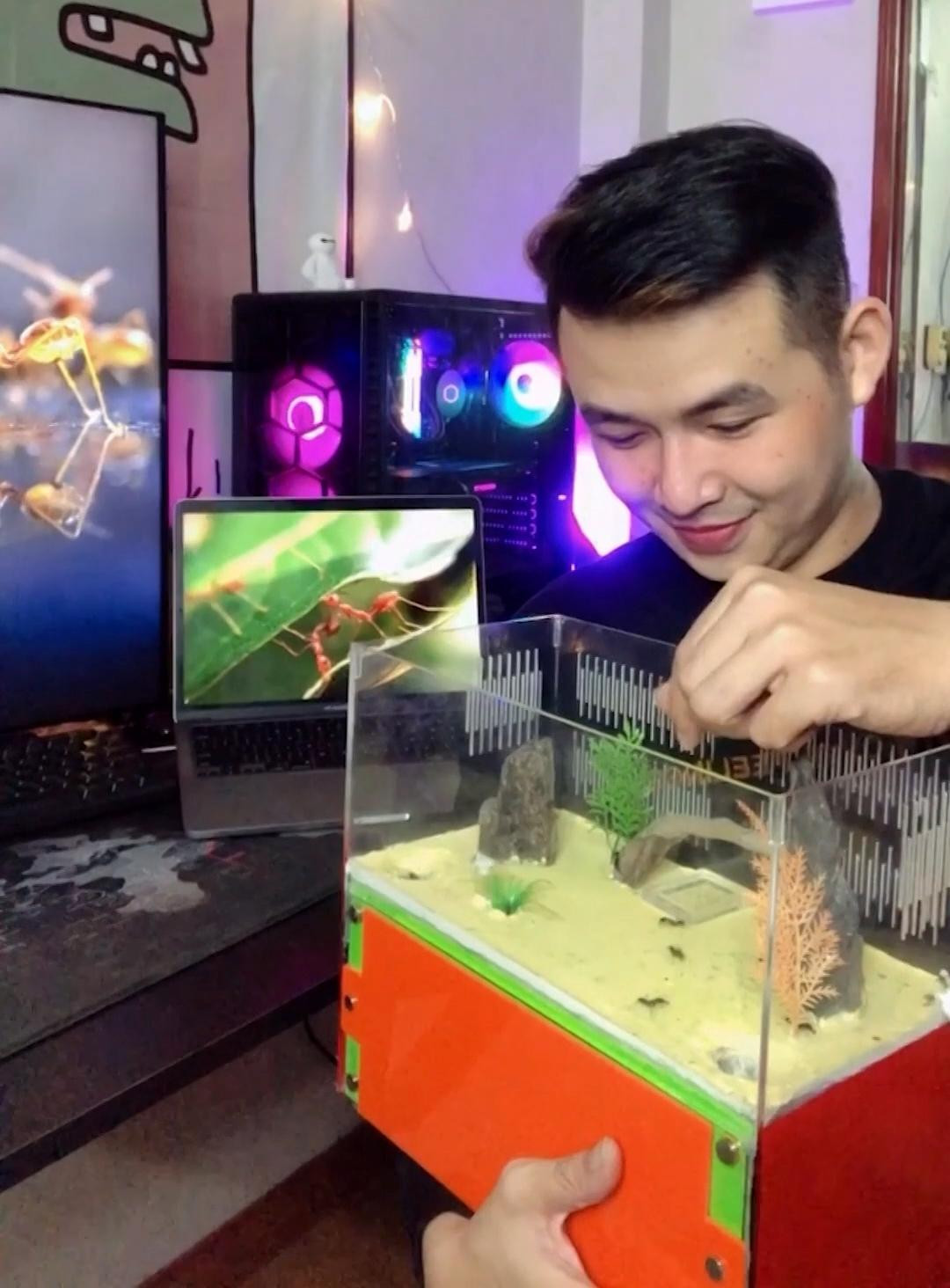 Những lúc rảnh rỗi, Cường cho kiến ăn cũng là cách giải trí lành mạnh. Những lúc rảnh rỗi, Cường cho kiến ăn cũng là cách giải trí lành mạnh.