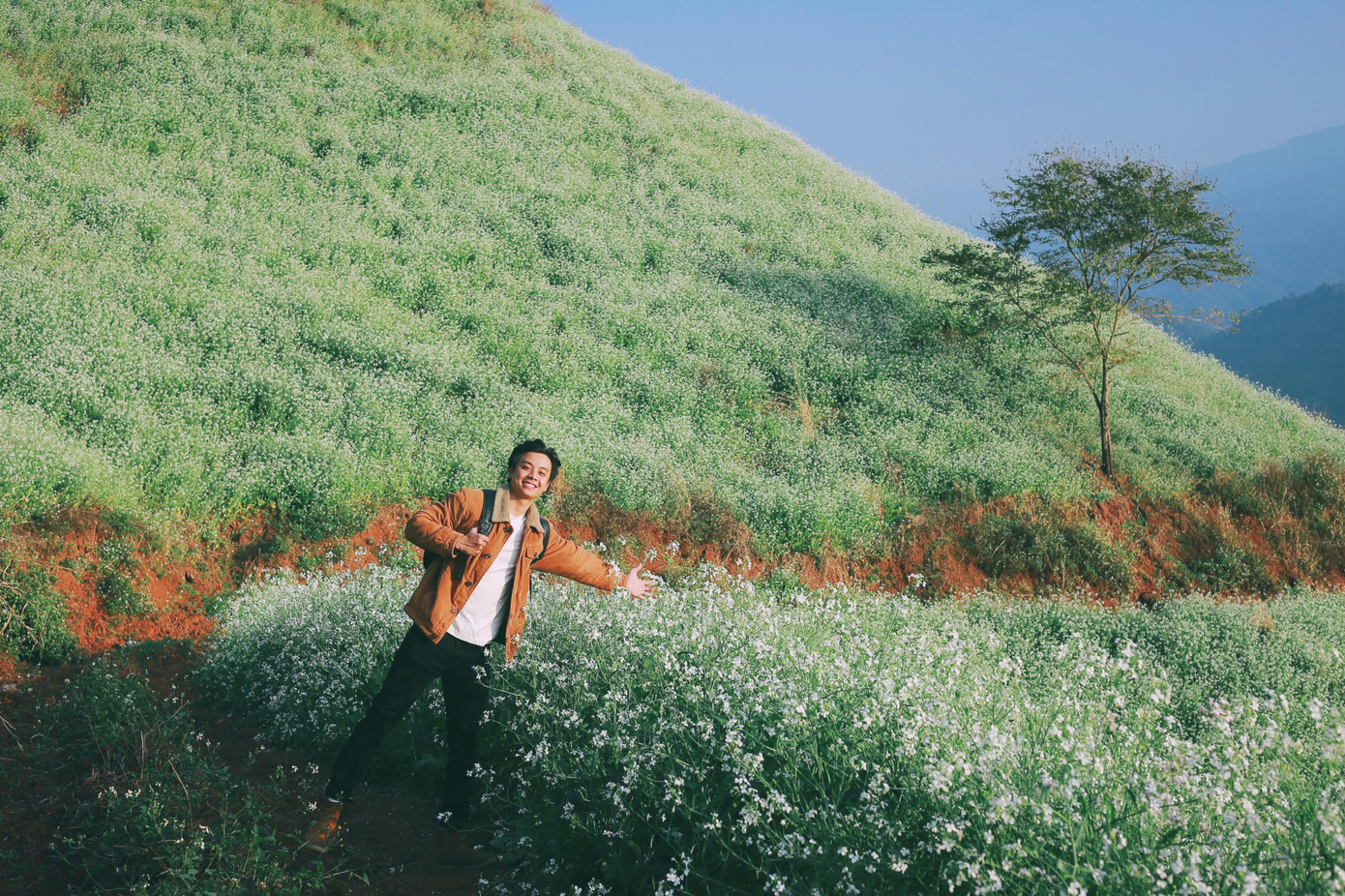 Đồi hoa ở xã Chiềng Xuân, huyện Mộc Châu vào mùa nở rộ. Vẻ đẹp trong trẻo, thơ mộng trong từng khung hình của chang trai trẻ.