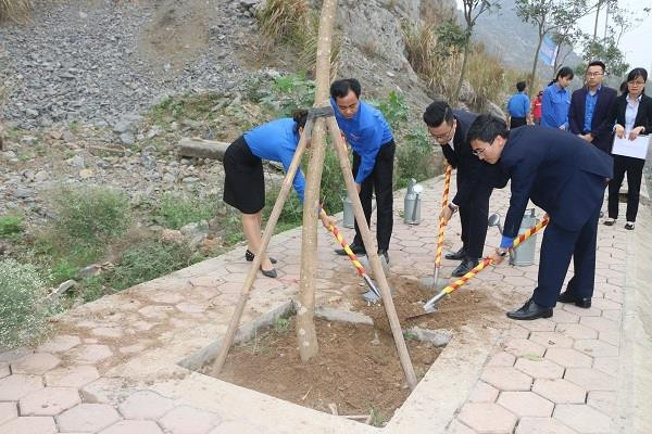 Tuổi trẻ Hải Phòng tình nguyện vì cộng đồng ảnh 5