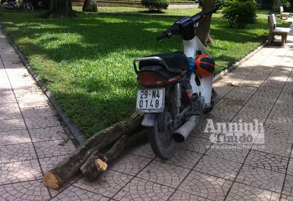 Người này chậm chân hơn, 