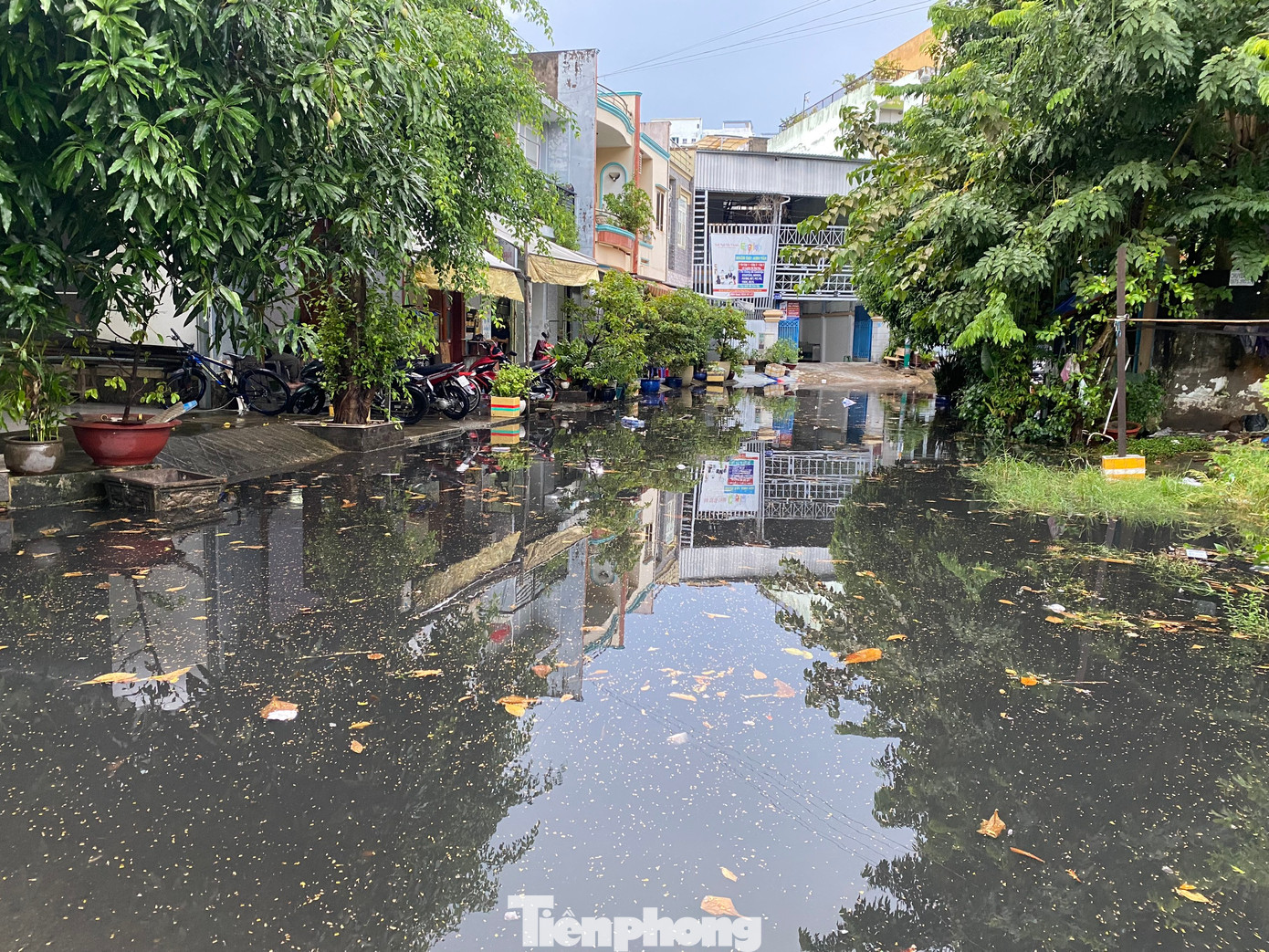Ngập úng sau mưa tại khu dân cư Nam Hùng Vương (phường An Lạc, quận Bình Tân). Ngập úng sau mưa tại khu dân cư Nam Hùng Vương (phường An Lạc, quận Bình Tân).