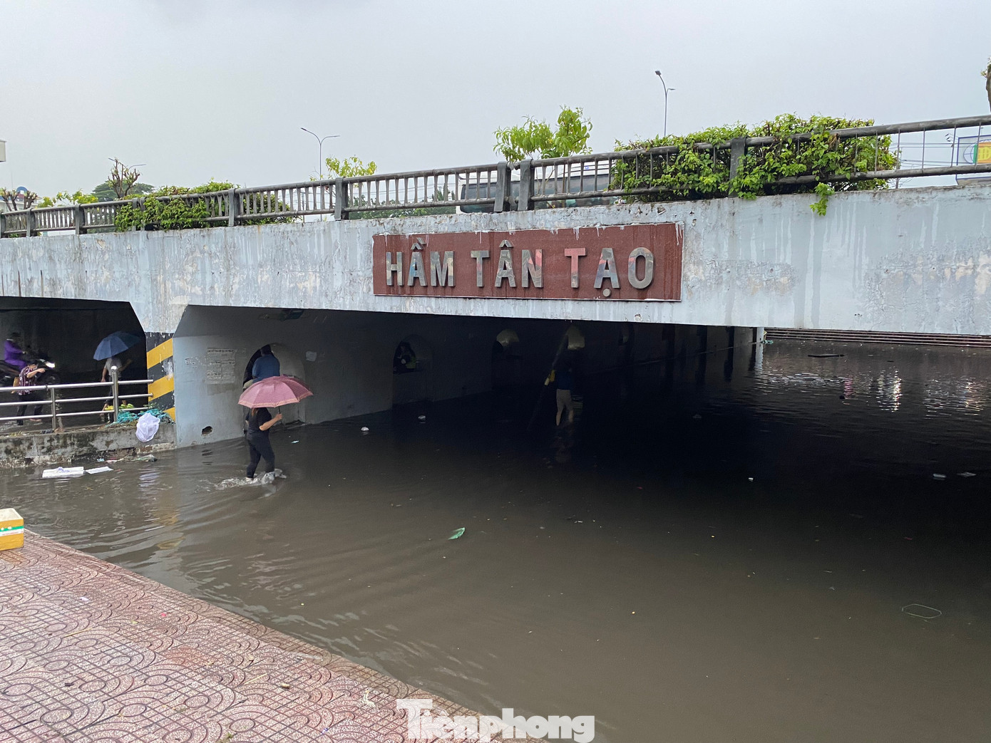 Hầm chui Tân Tạo trên quốc lộ 1 (quận Bình Tân) ngập nặng sau cơn mưa lớn. Hầm chui Tân Tạo trên quốc lộ 1 (quận Bình Tân) ngập nặng sau cơn mưa lớn.