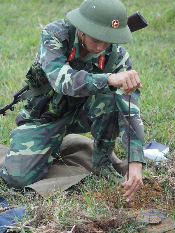 Chuyên gia ADMM+ đến Việt Nam bàn về Hành động mìn nhân đạo ảnh 3