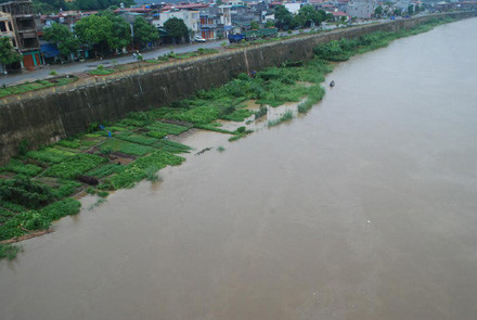 Nước sông Hồng ở đầu nguồn Lào Cai dâng cao ảnh 2