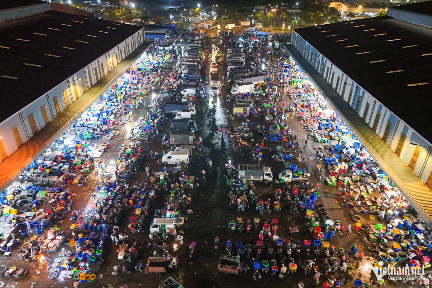 Theo chia sẻ của nhiều chủ vựa, rạng sáng ngày 23 tháng Chạp không khí tại chợ cá chép Bình Điền sẽ tấp nập hơn nữa. Việc phóng sinh cá chép sau khi làm lễ cúng Táo quân là nét đẹp văn hóa, có giá trị nhân văn từ hàng trăm năm nay.