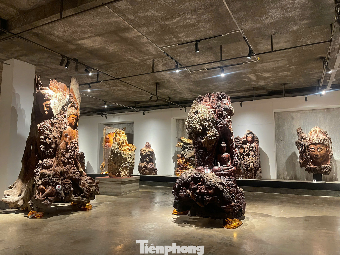 Những khúc gỗ hoặc gốc cây dùng trong tác phẩm chạm khắc tại bảo tàng đều là gỗ chết, mảnh vụn từ vùng lũ lụt để lại trong các dự án đập thủy điện, gỗ phế liệu hoặc gỗ không có giá trị cao. Tuy nhiên qua bàn tay khéo léo của các nghệ nhân Lào chúng đã trở thành những tác phẩm nghệ thuật tuyệt đẹp.