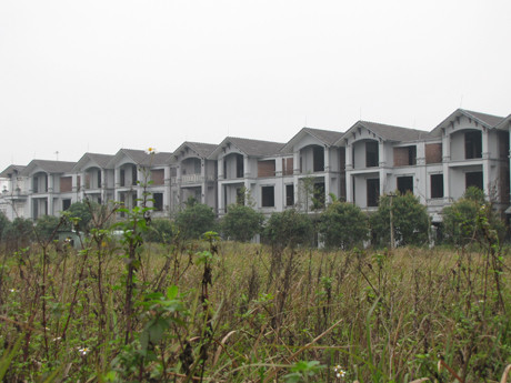 Nhiều căn hộ hoàn thiện nhưng không có người đến ở. Cỏ dại cao ngang thân người.