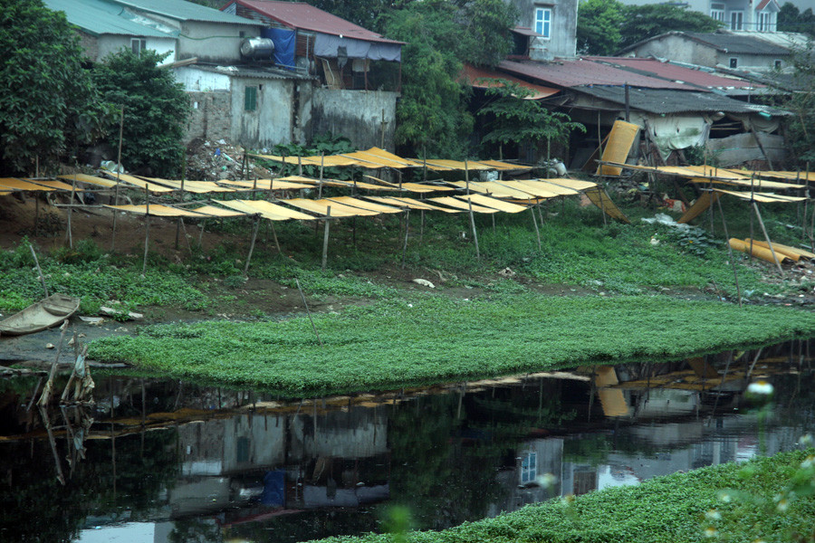Miến sau khi cắt được phơi lại một lần nữa cho khô hẳn cạnh con kênh nước đen hôi thối, đầy ruồi muỗi