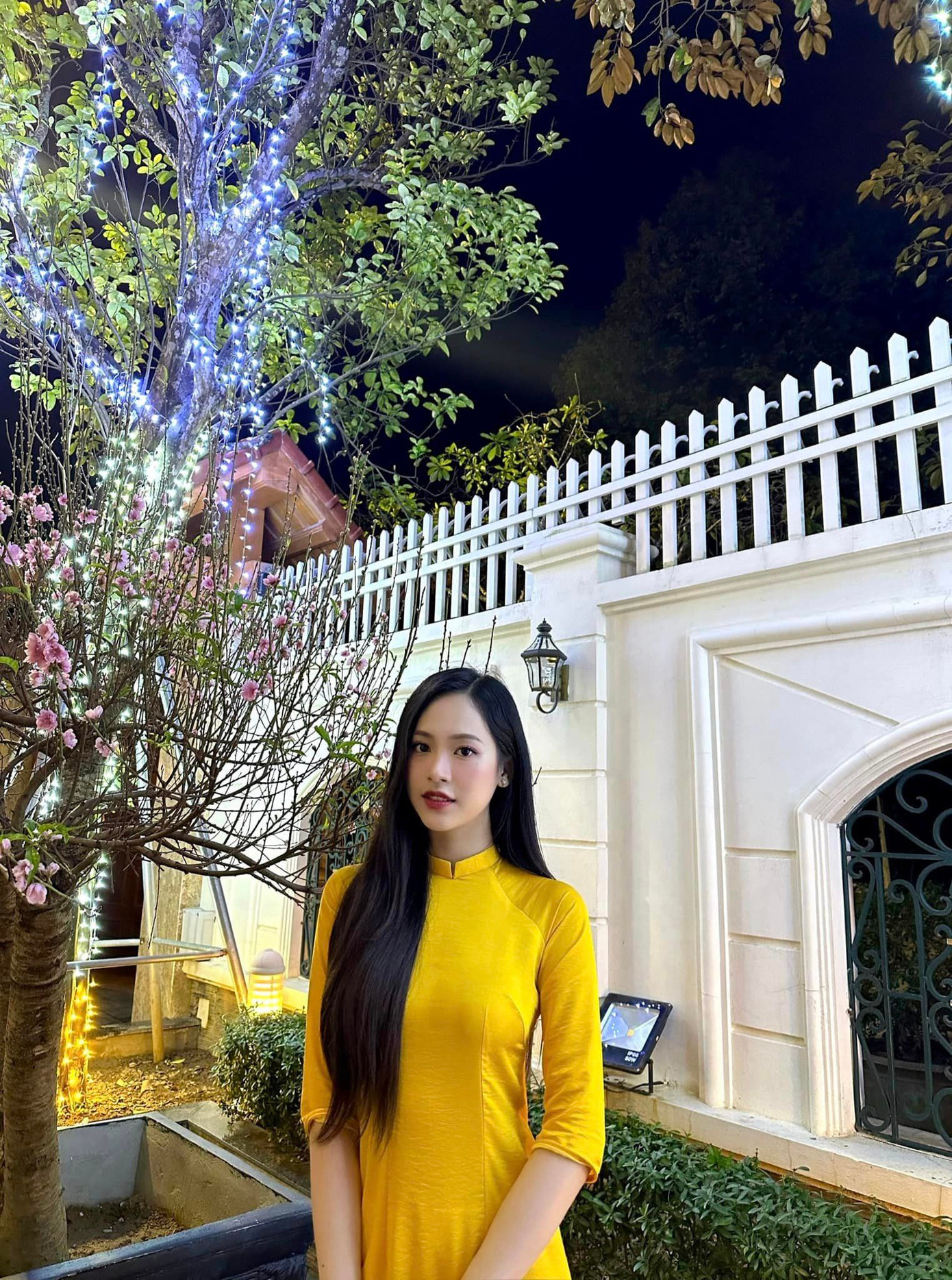 Á hậu Trịnh Thùy Linh diện áo dài nền nã, duyên dáng khi du xuân, chúc Tết cùng gia đình.