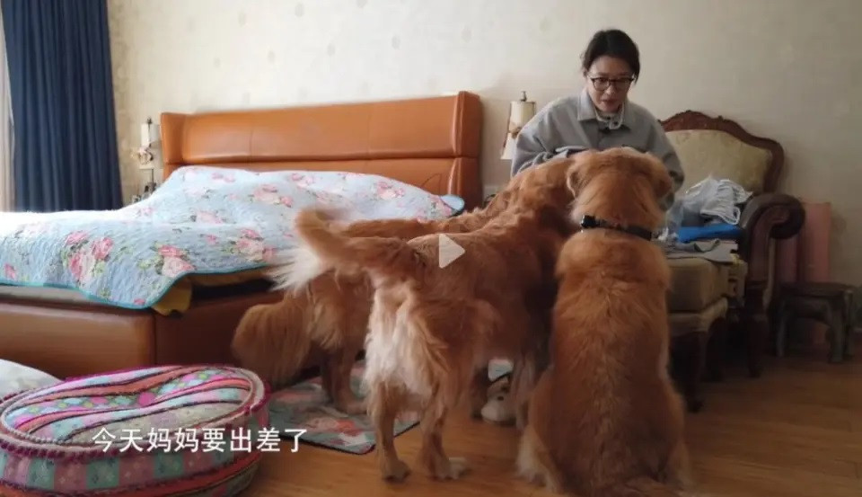 Châu Hải My sống tiết kiệm, song cô xây nhà tắm, khu vui chơi cho thú cưng. Châu Hải My sống tiết kiệm, song cô xây nhà tắm, khu vui chơi cho thú cưng.