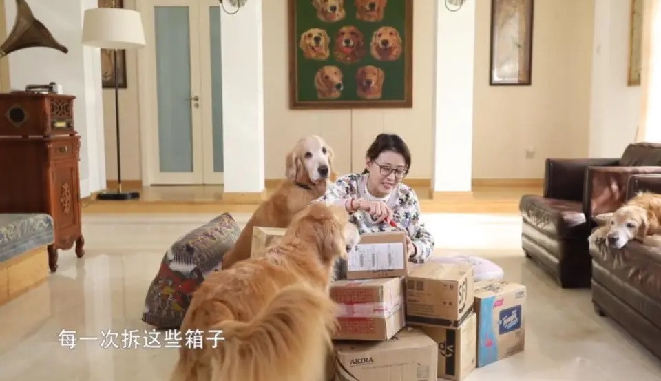 Châu Hải My sống tiết kiệm, song cô xây nhà tắm, khu vui chơi cho thú cưng. Châu Hải My sống tiết kiệm, song cô xây nhà tắm, khu vui chơi cho thú cưng.