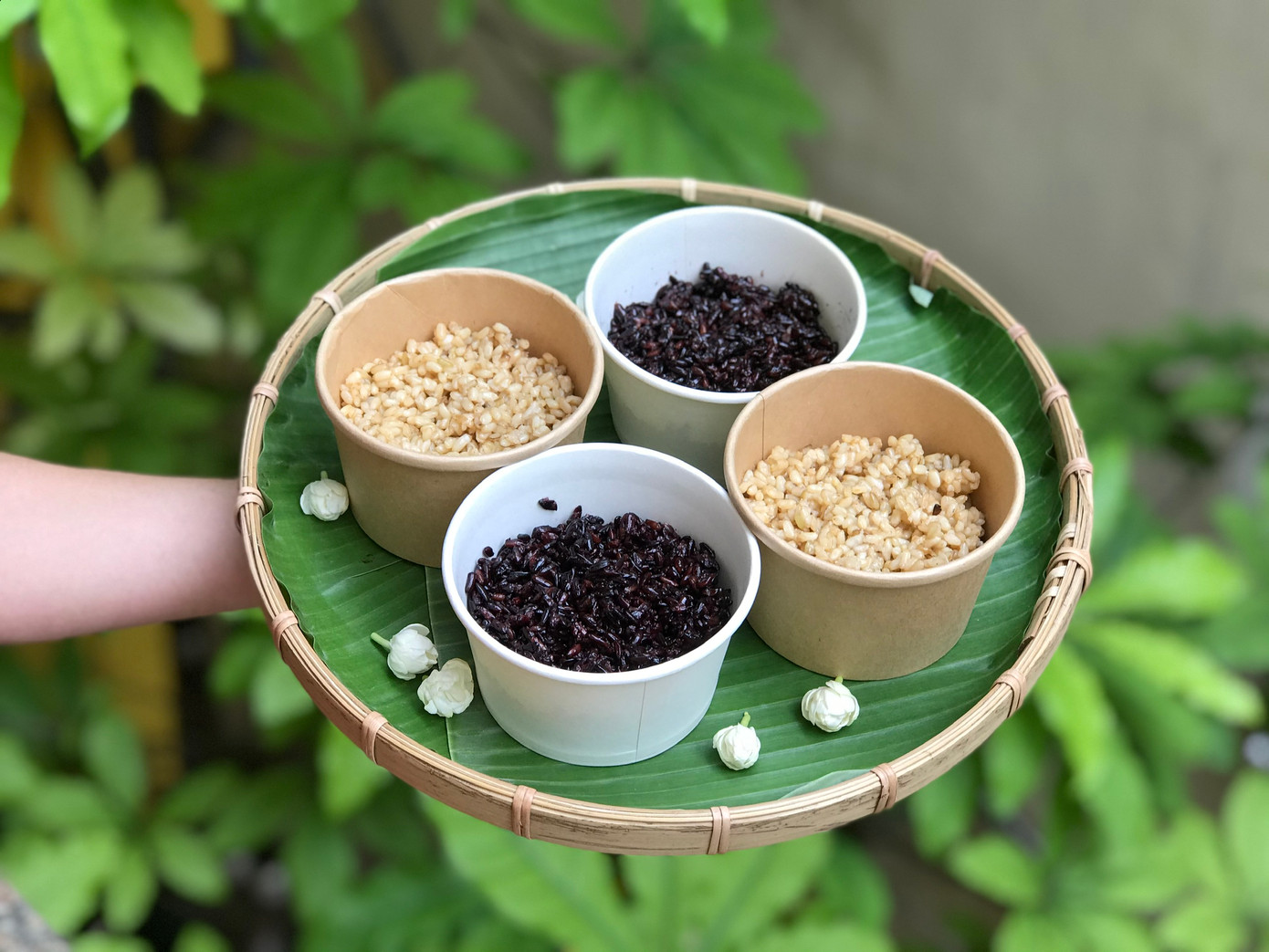 Cơm rượu nếp cẩm và rượu nếp cái hoa vàng không thể thiếu trong mâm lễ ngày Tết Đoan ngọ (Ảnh: NVCC).