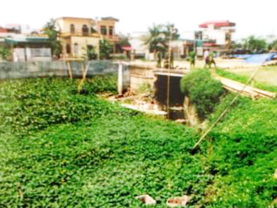 Khu vực cống nước phát hiện thi thể bà Nguyễn Thị Mai bị phi tang. Khu vực cống nước phát hiện thi thể bà Nguyễn Thị Mai bị phi tang