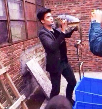 Nam thanh niên nhập viện vì… bị rùa 'khóa môi' ảnh 1