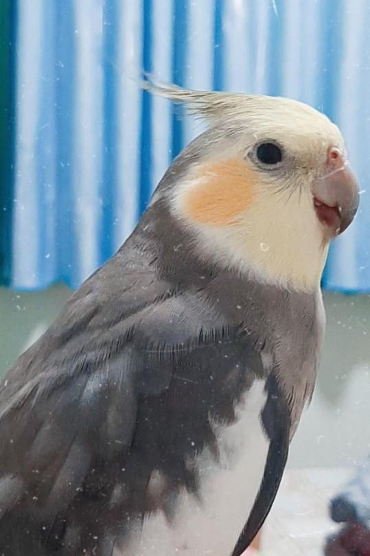 Ảnh: NVCC Ảnh: NVCC