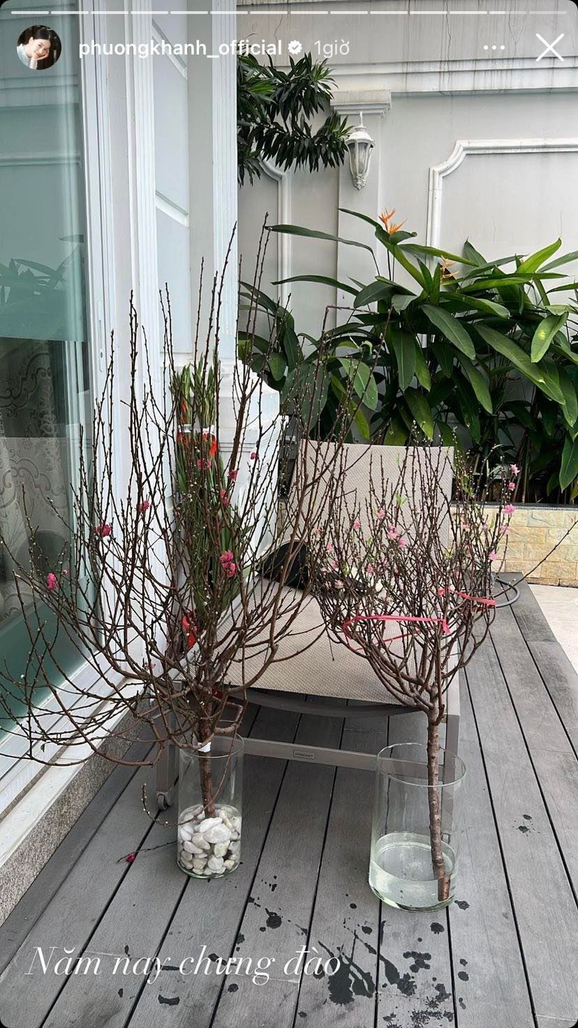 Năm nay, Hoa hậu Phương Khánh lựa chọn hoa đào để chưng Tết.