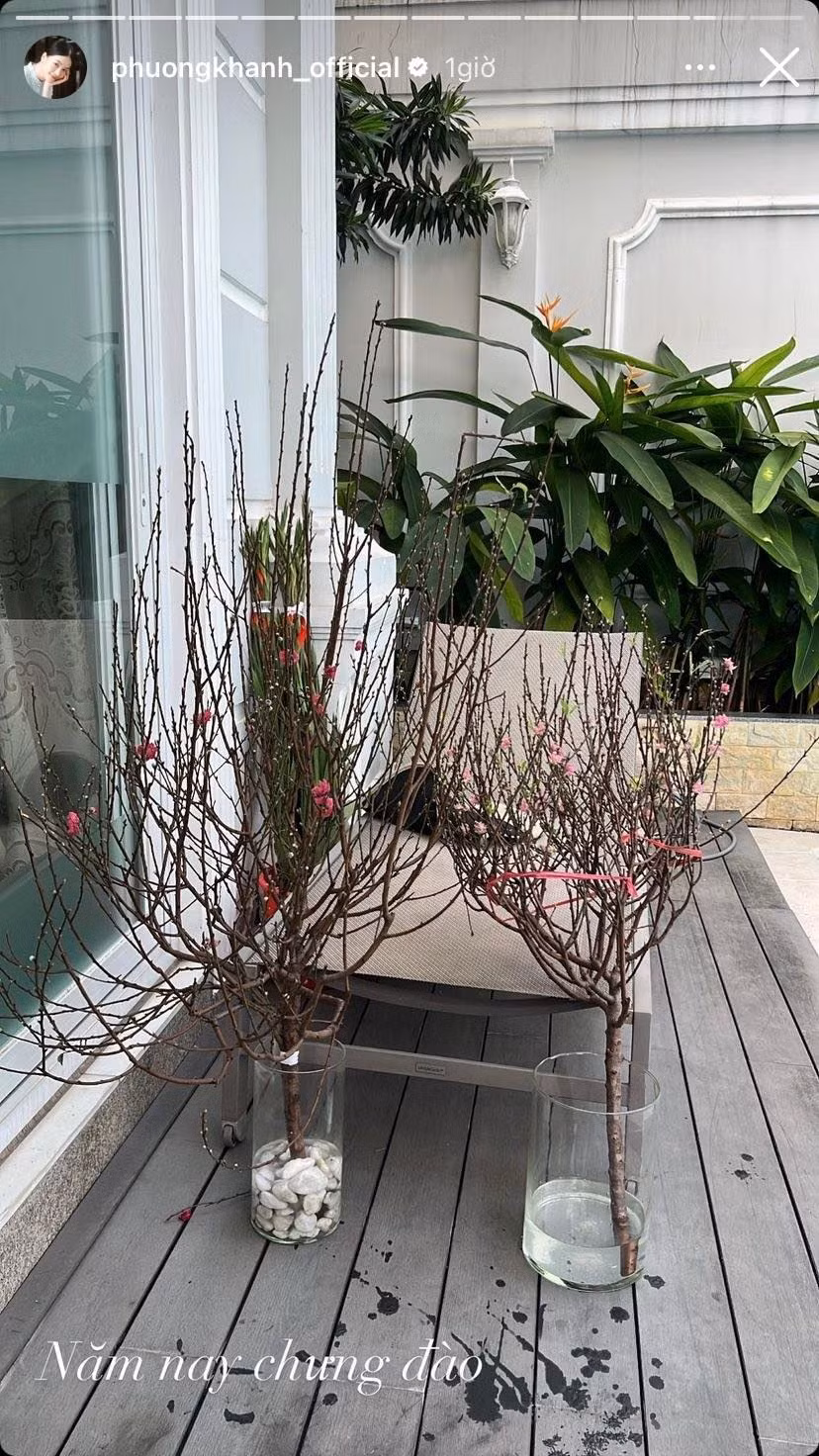 Năm nay, Hoa hậu Phương Khánh lựa chọn hoa đào để chưng Tết.
