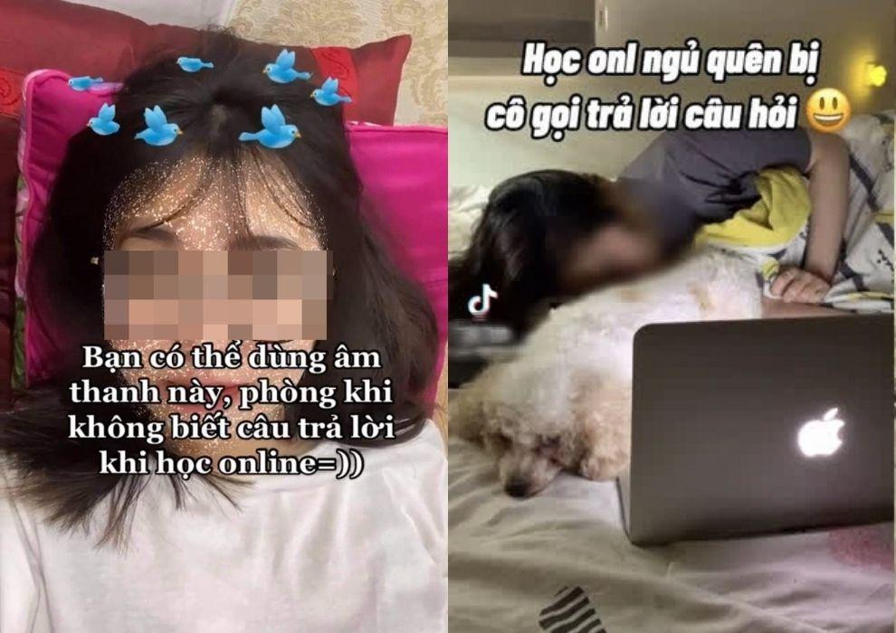 Các clip TikTok có nội dung hướng dẫn cách trốn trả bài, trốn học trực tuyến. Các clip TikTok có nội dung hướng dẫn cách trốn trả bài, trốn học trực tuyến.