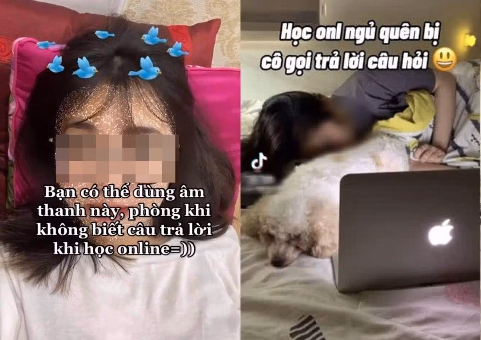 Các clip TikTok có nội dung hướng dẫn cách trốn trả bài, trốn học trực tuyến.