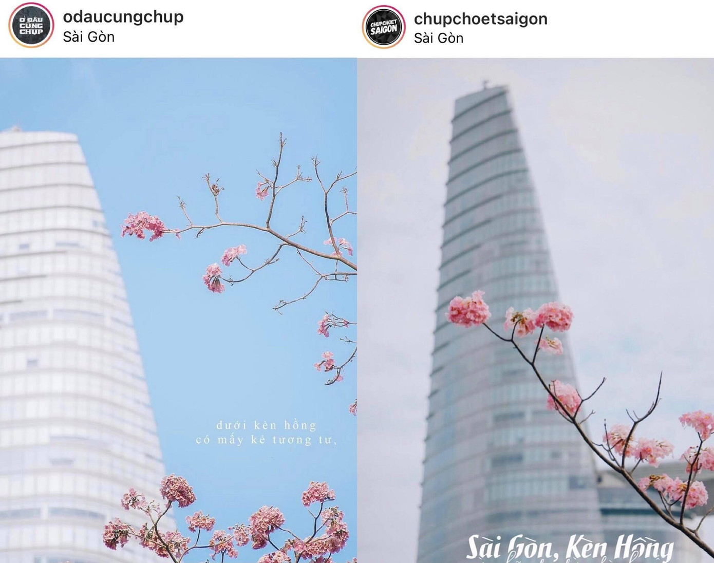 Một số hình ảnh được netizen đặt ra để so sánh sự tương đồng giữa 2 tài khoản. Một số hình ảnh được netizen đặt ra để so sánh sự tương đồng giữa 2 tài khoản.