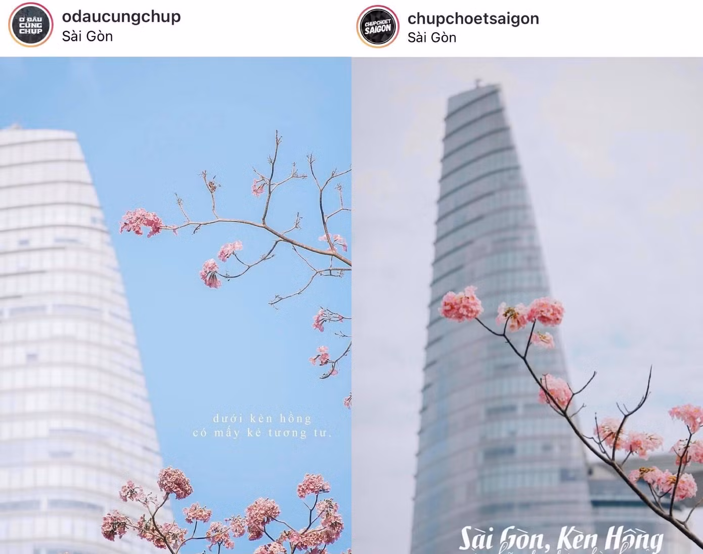 Một số hình ảnh được netizen đặt ra để so sánh sự tương đồng giữa 2 tài khoản.