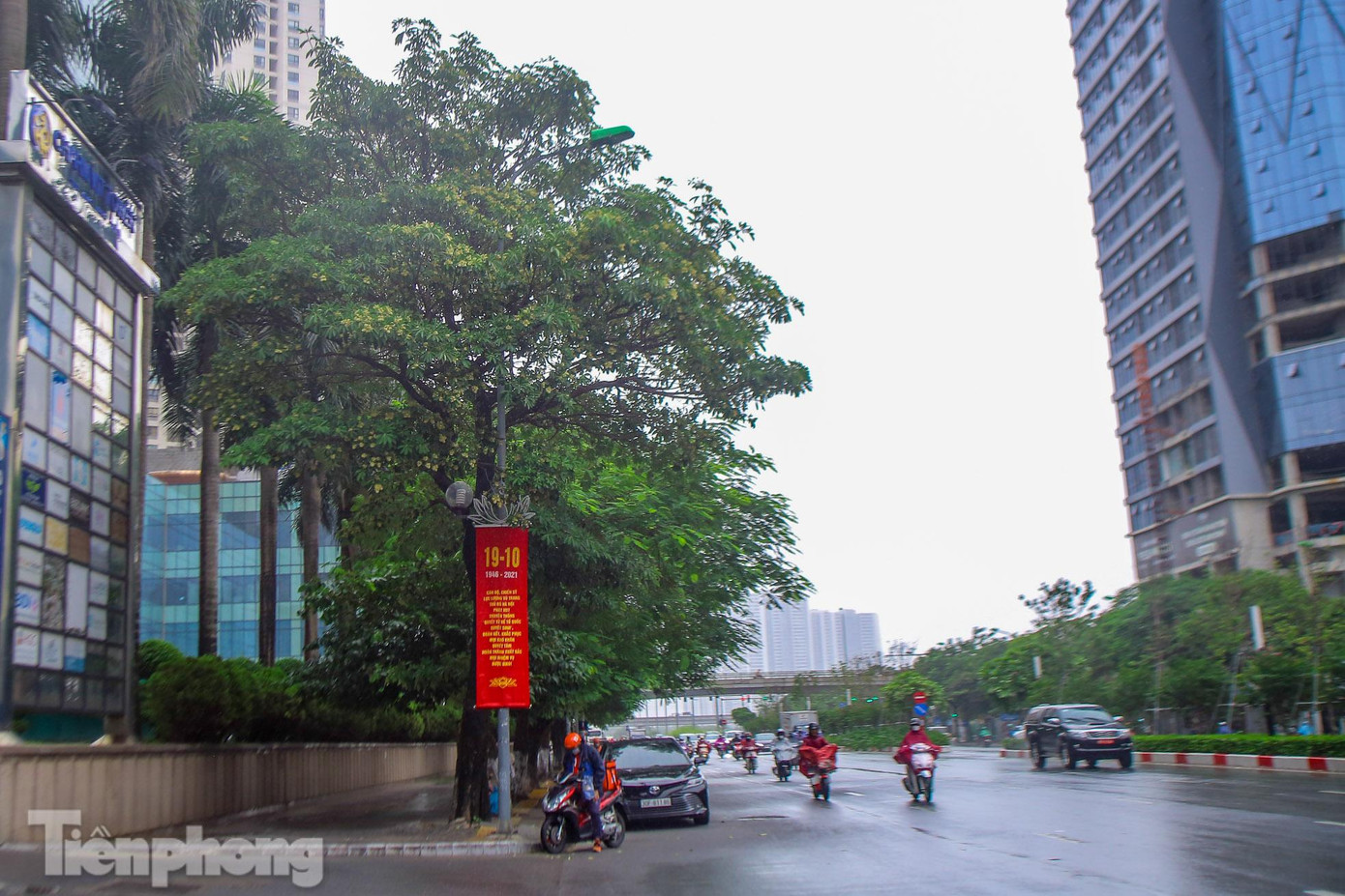 Nhớ mùa thu Hà Nội, chắc chắn nhiều người không thể không nhớ đến hoa sữa. Nhớ mùa thu Hà Nội, chắc chắn nhiều người không thể không nhớ đến hoa sữa.
